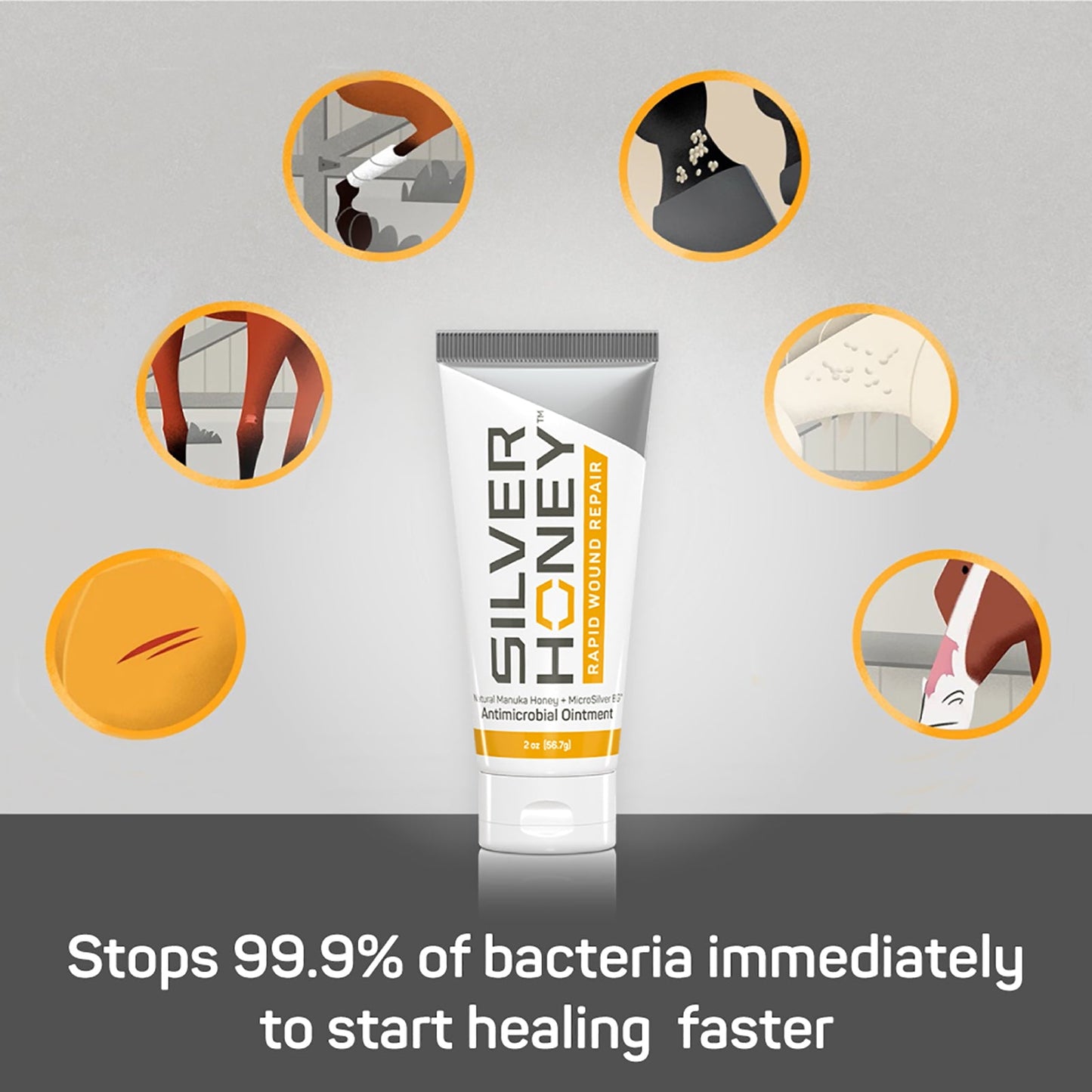 Silver Honey® Rapid Wound Repair Ointment Wound Care absorbine