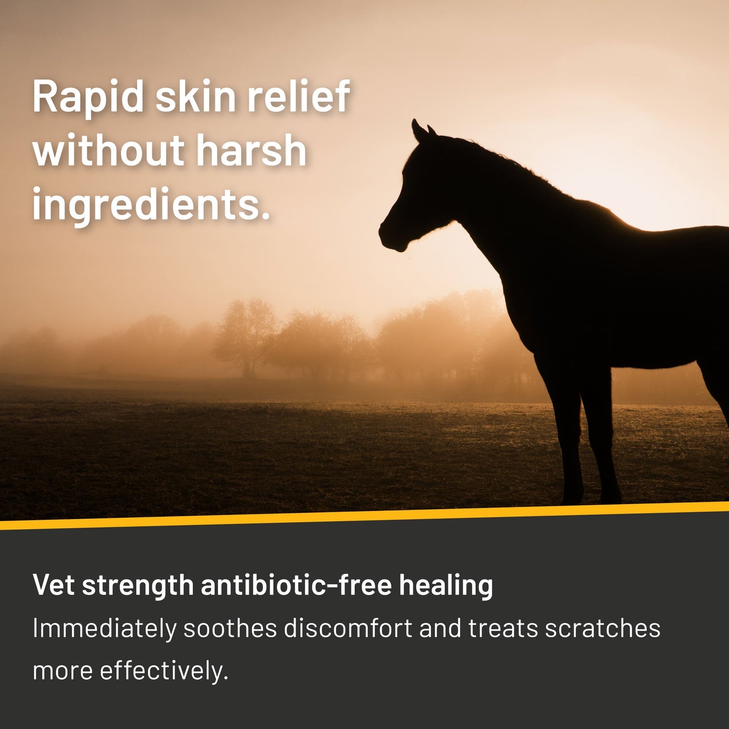 Silver Honey® Rapid Skin Relief Vet Strength Scratches Spray Wound Care Absorbine