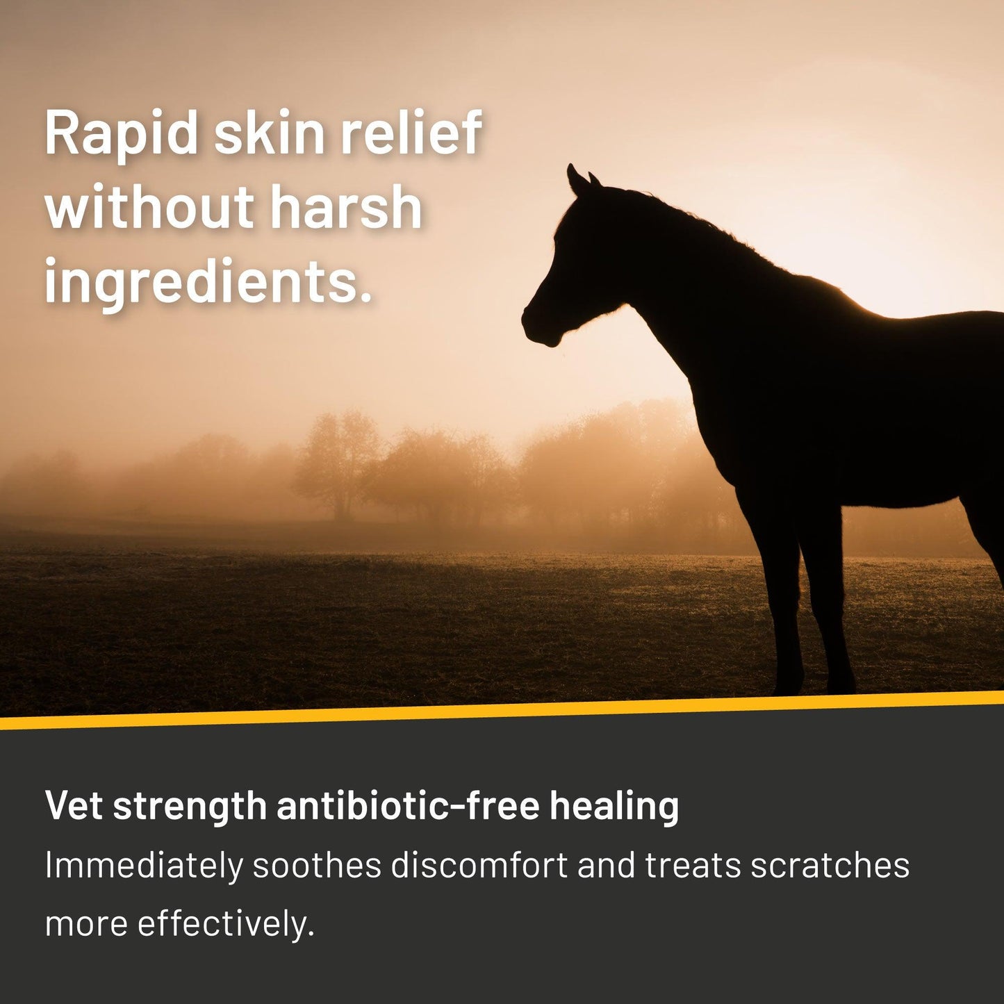 Rapid Skin Relief Vet Strength Scratches Spray