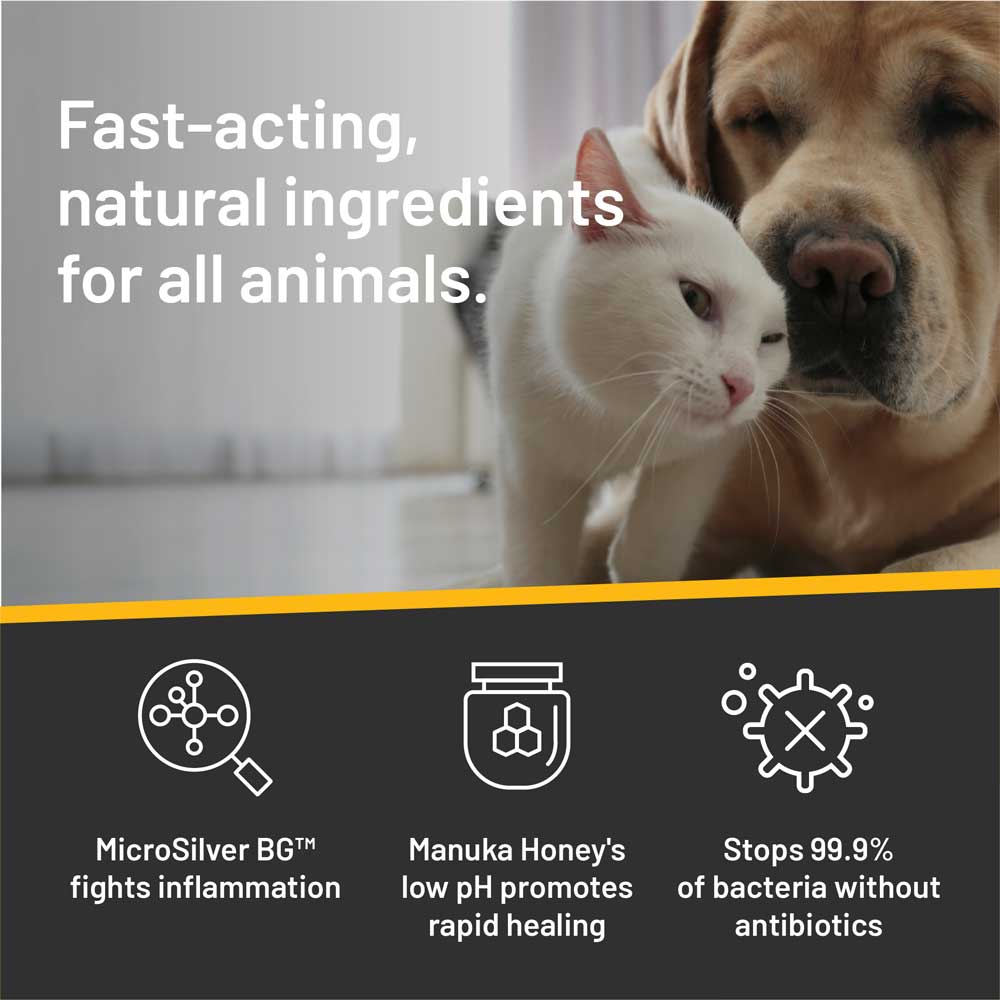 Rapid Ear Care Vet Strength Pet Wipes for Dogs and Cats - Full Case
