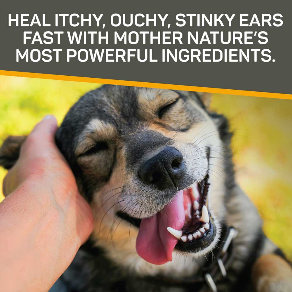 Rapid Ear Care Concentrated Doses