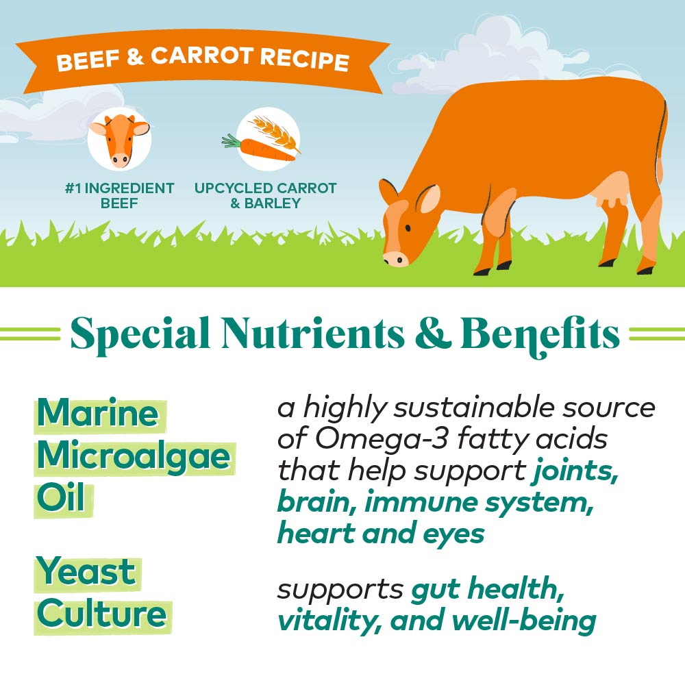 beef & carrots protein bites for dogs