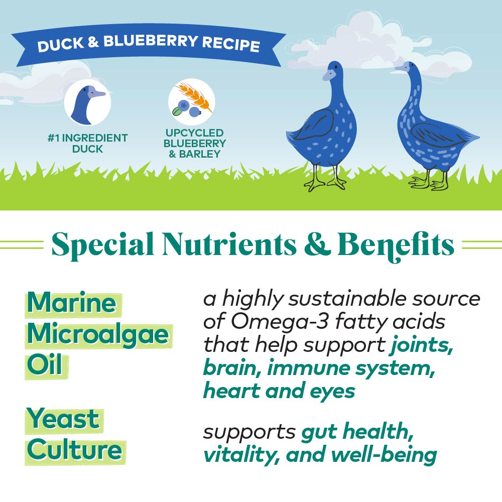 H2G Dog DuckBlueberry 5.5oz