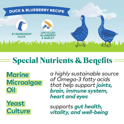 H2G Dog DuckBlueberry 5.5oz