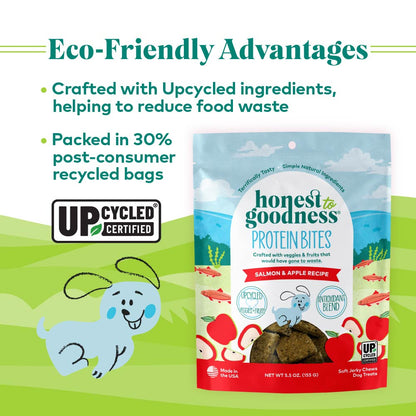 H2G Dog Salmon &Apple 5.5oz