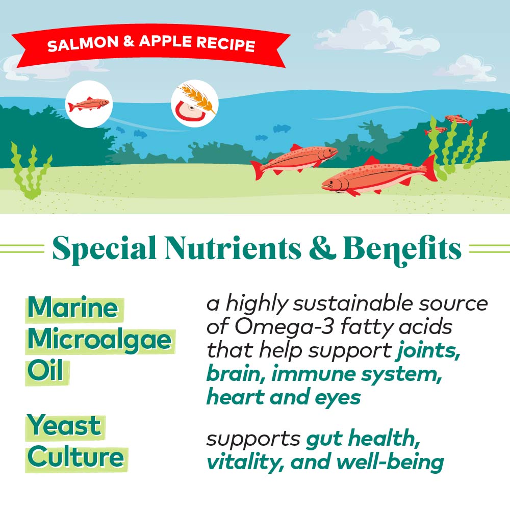 H2G Dog Salmon &Apple 5.5oz