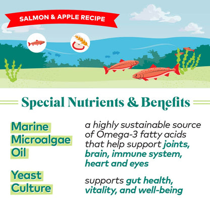 H2G Dog Salmon &Apple 5.5oz
