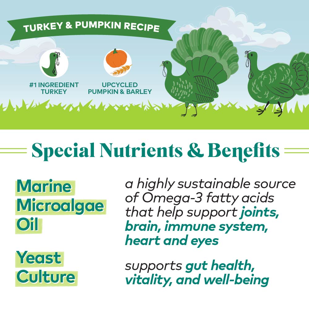 H2G Dog TurkeyPumpkin 5.5oz
