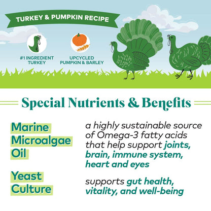 H2G Dog TurkeyPumpkin 5.5oz