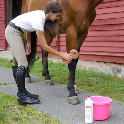 Bigeloil® Liniment Liquid