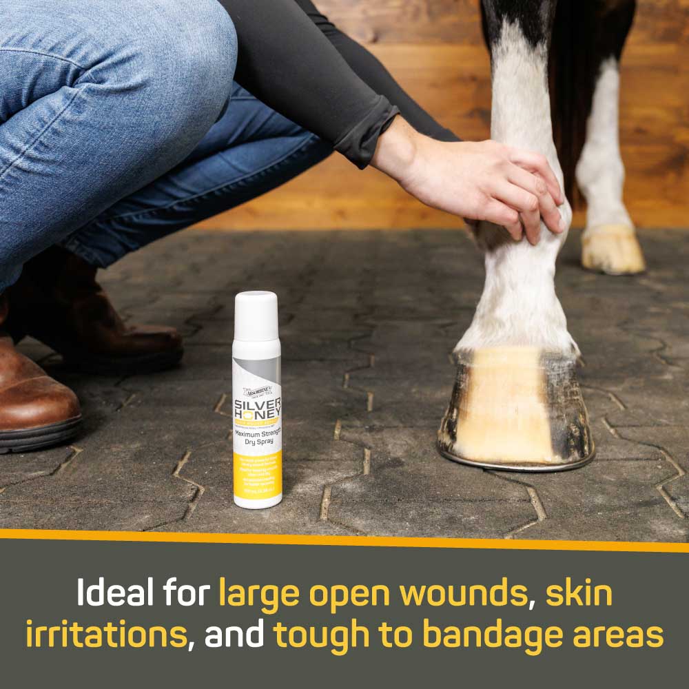 Rapid Wound Repair Maximum Strength Dry Spray