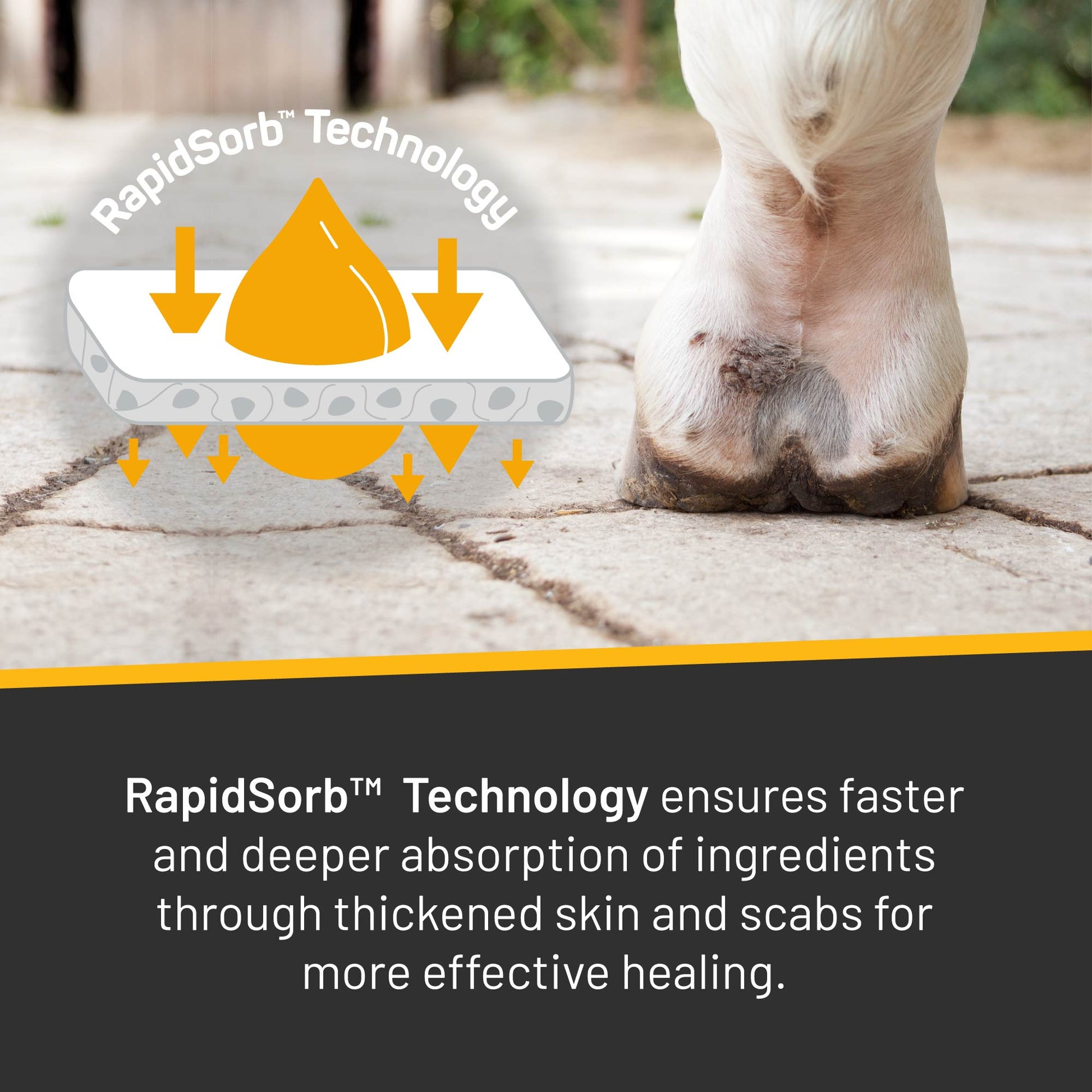 Silver Honey® Rapid Skin Relief Vet Strength Scratches Spray Wound Care Absorbine   