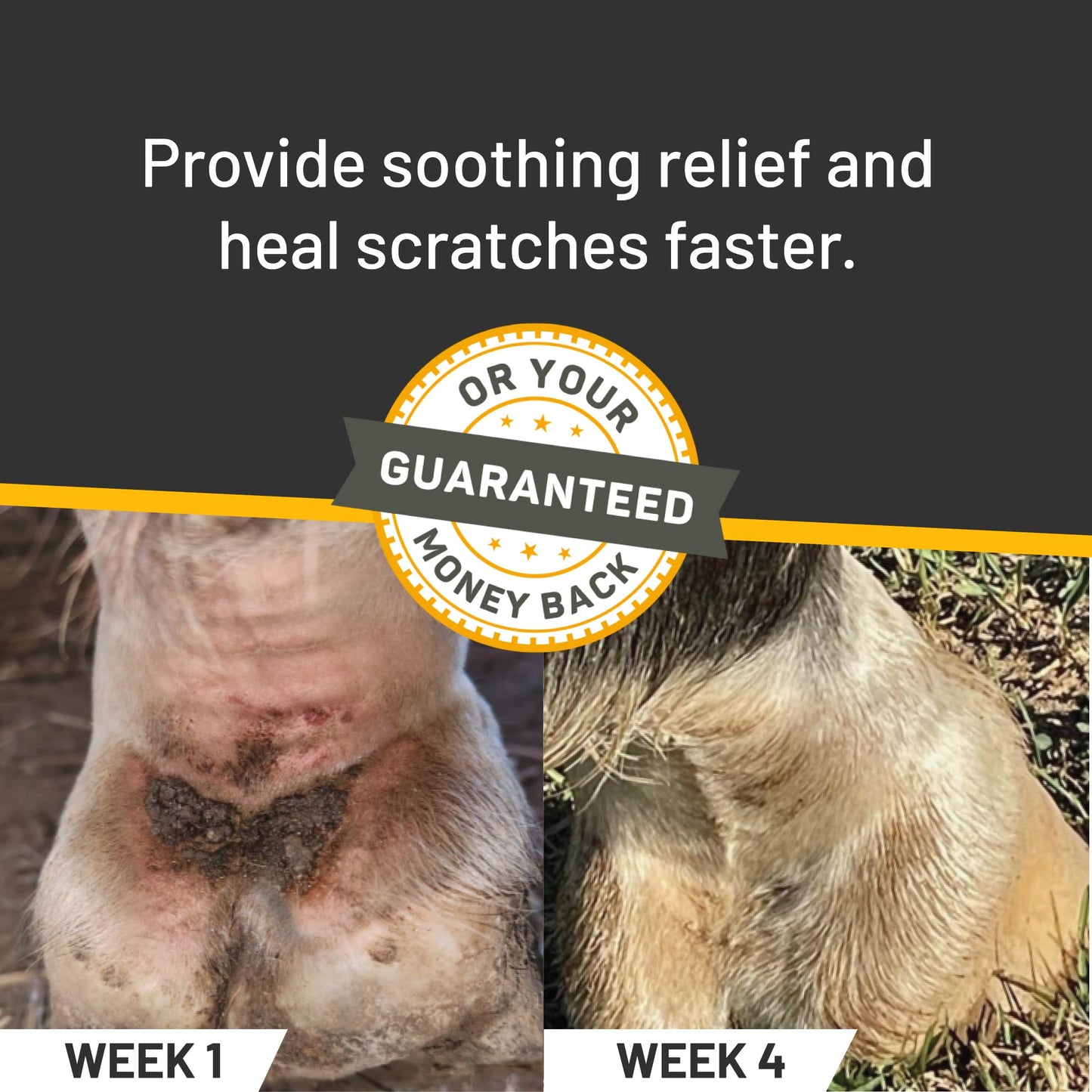 Silver Honey® Rapid Skin Relief Vet Strength Scratches Spray Wound Care Absorbine   