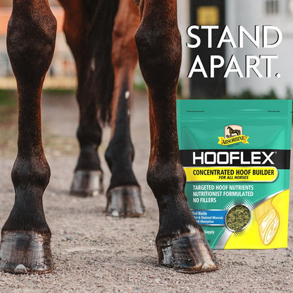 Hooflex® Concentrated Hoof Builder Supplement Hoof Care absorbine   