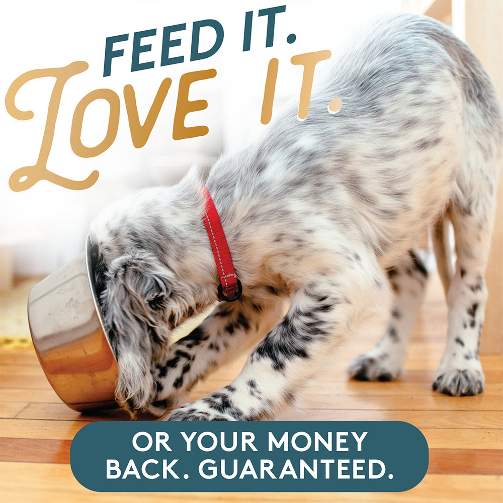 Feed it, love it or your money back. Guaranteed.  Long haired white puppy with black spots with his head buried in his food bowl.