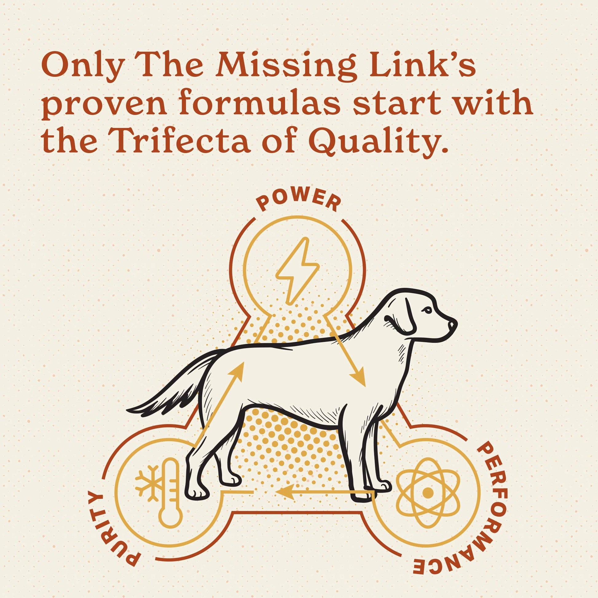 Only the Missing Link's proven formulas start with the trifecta of quality.  Powrer, purity and performance in a powerful supplement powder.