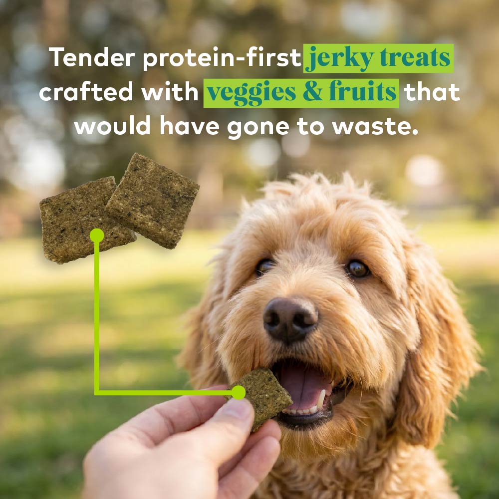 beef & carrots protein bites for dogs