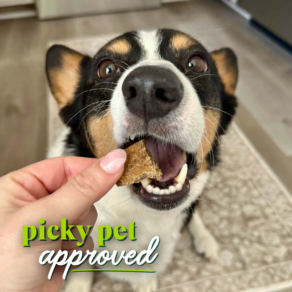 beef & carrots protein bites for dogs