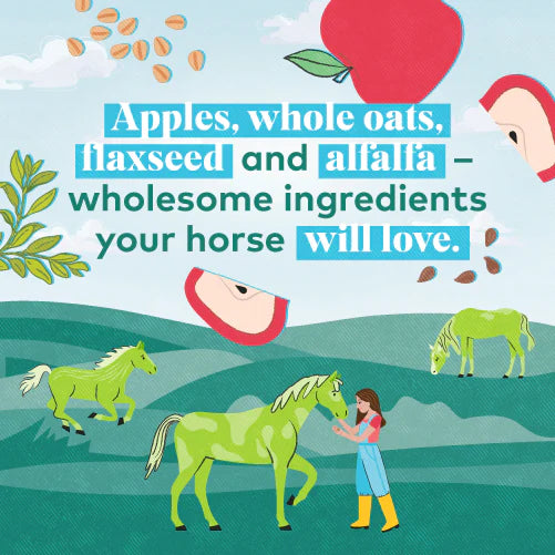 upcycled horse treats – apple