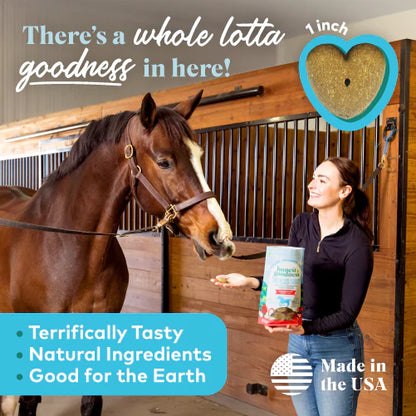 upcycled horse treats – apple