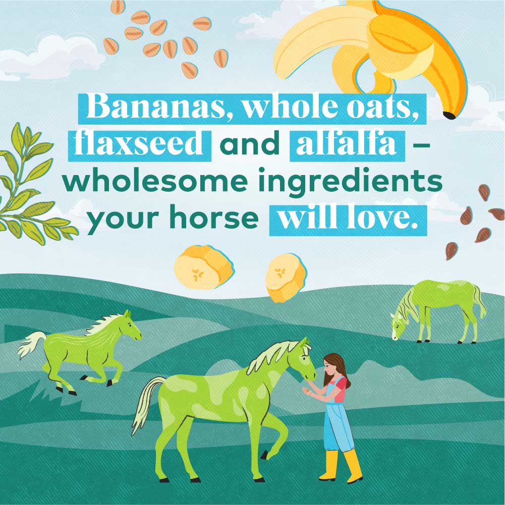 Honest To Goodness™ Upcycled Horse Treats – Banana