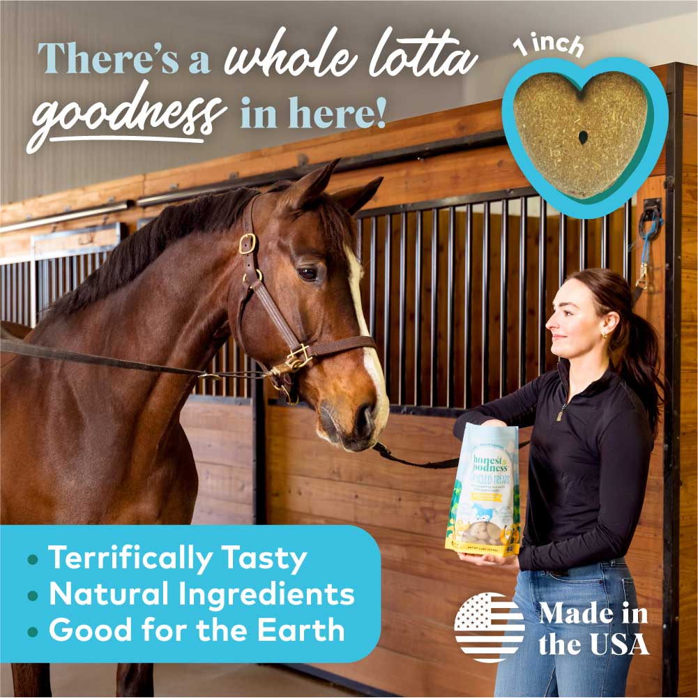 Honest To Goodness™ Upcycled Horse Treats – Banana