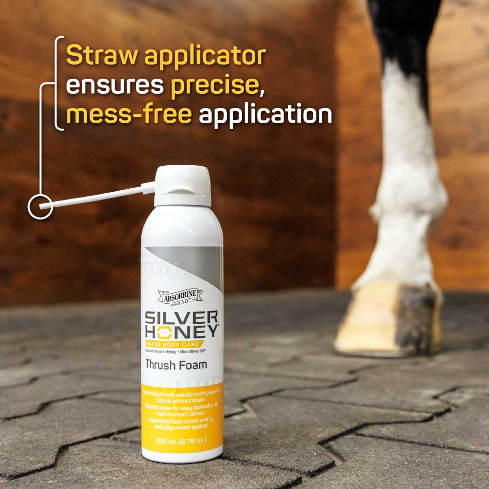 Rapid Hoof Care Thrush Foam