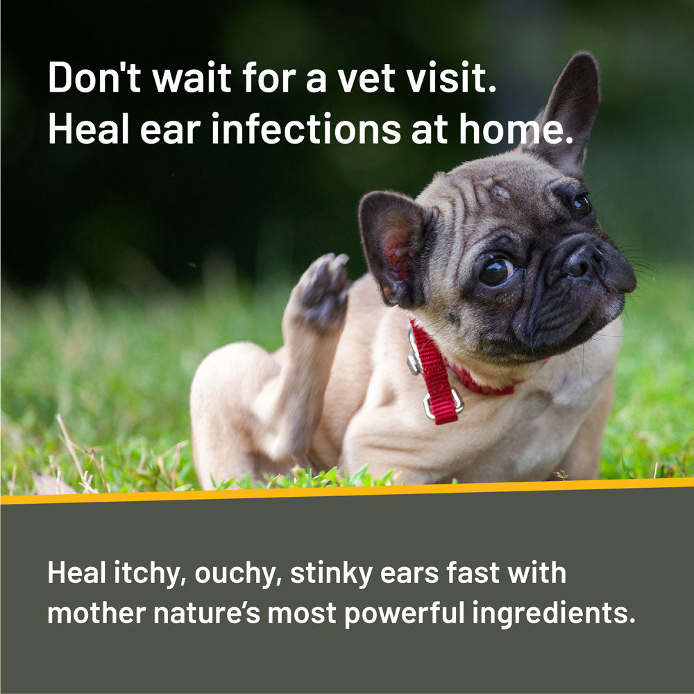 Rapid Ear Care Vet Strength Ear Treatment