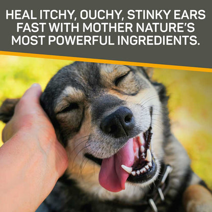 Rapid Ear Care Concentrated Doses