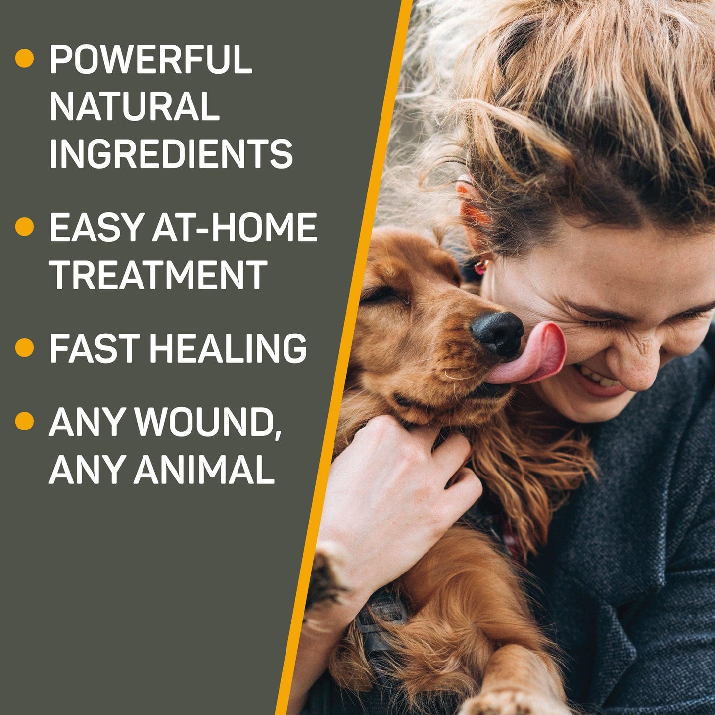 Golden Retriever dog licking the face of her owner.  Powerful natural ingredients, easy at-home treatment, fast healing, any wound, any animal.