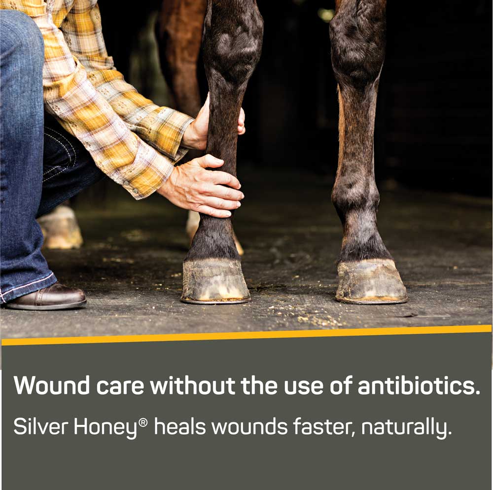 Rapid Wound Repair Combo Pack