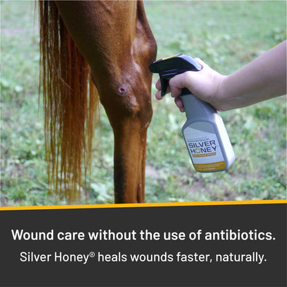 Rapid Wound Repair Spray Gel