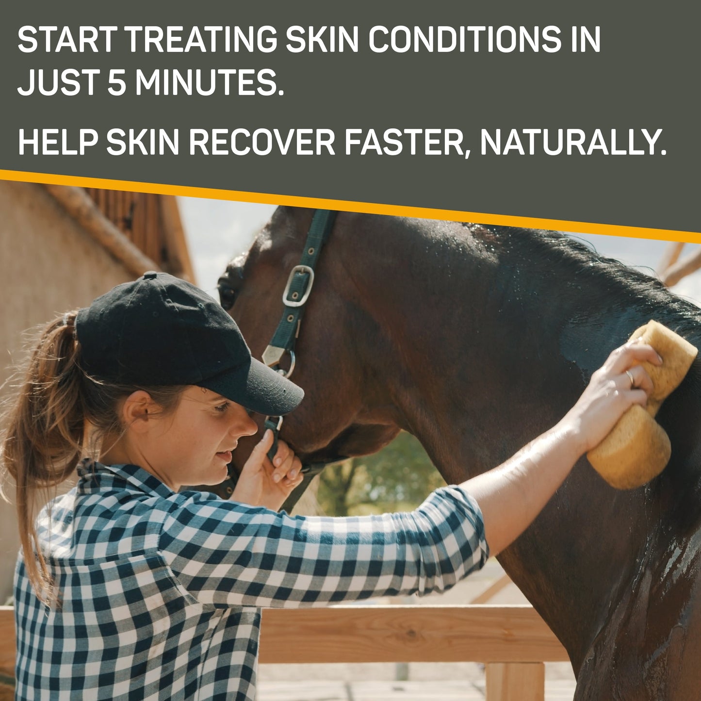 Silver honey medicated shampoo. Start treating skin conditions in just 5 minutes.  Help skin recover faster, naturally.