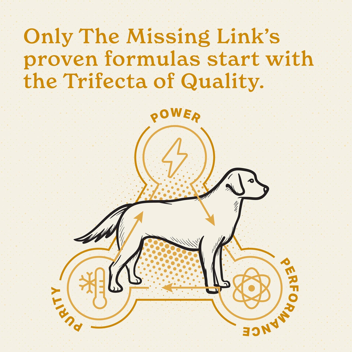 Only The Missing Link's proven formulas start with the Trifecta of Quality.  Power, purity and performance in every scoop.