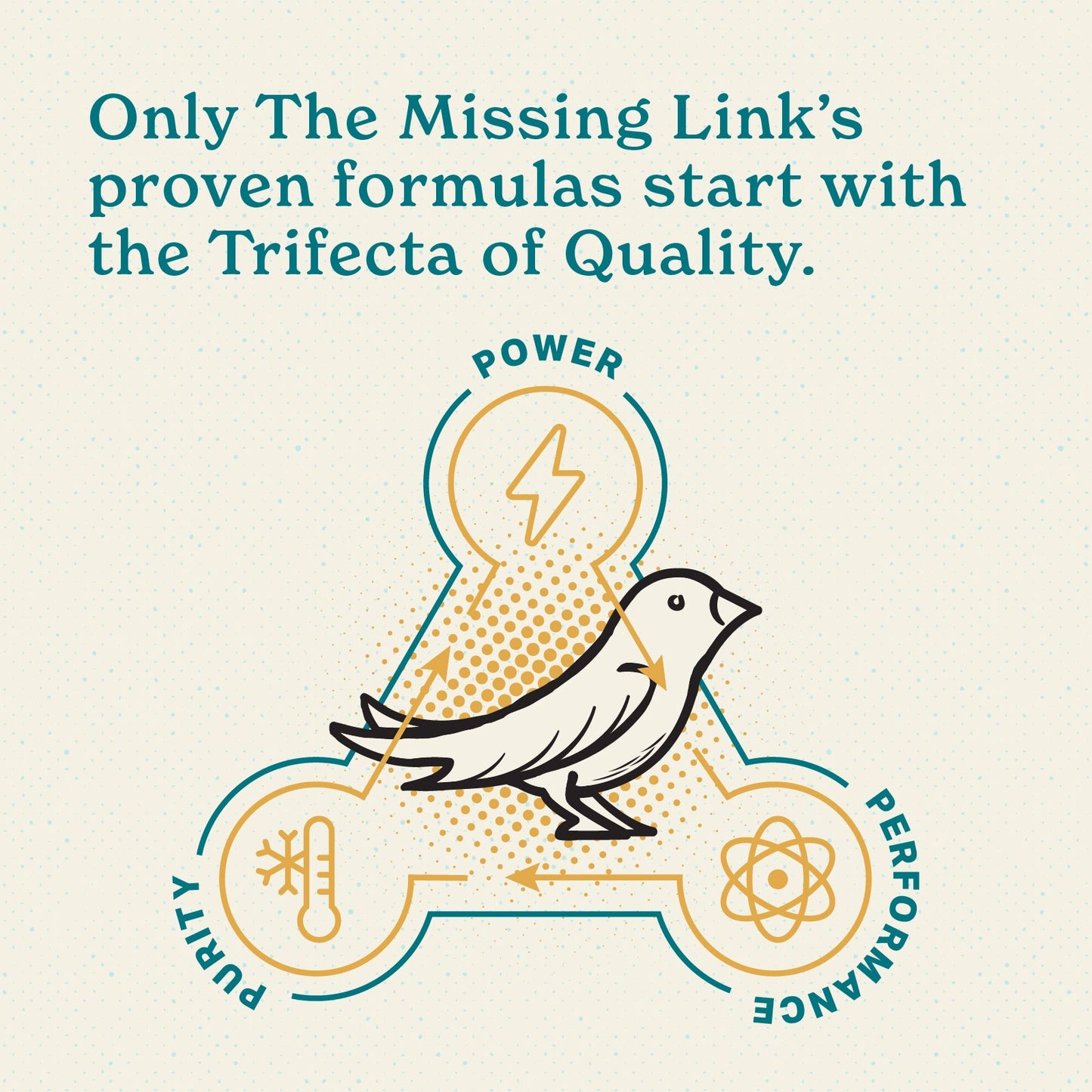 Only The Missing Link's proven formulas start with the trifecta of quality. Power, purity and performance in a healthy supplement powder.