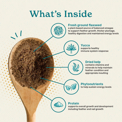 What's Inside, fresh ground flaxseed, yucca, dried kelp, phytonutrients, and protein in our powder supplement.
