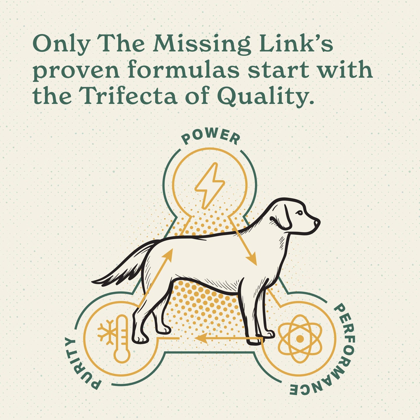 Professional Veterinary Formula Canine