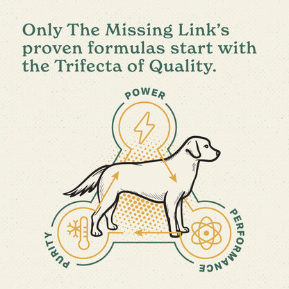 Professional Veterinary Formula Canine