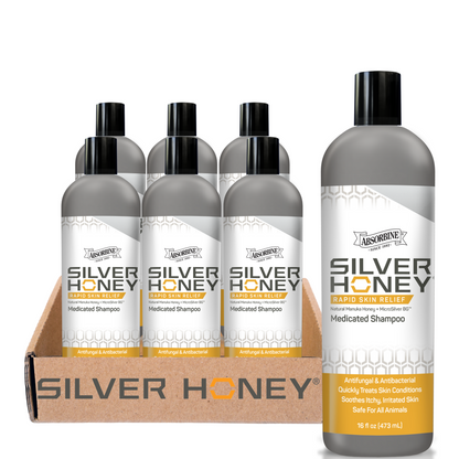 Silver honey rapid skin relief medicated shampoo - full case/6
